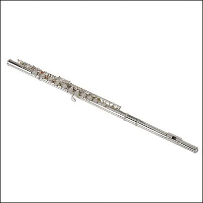 Quel est cet instrument ?