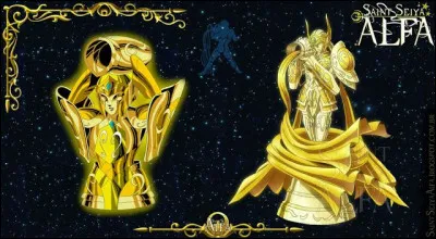 A qui appartient cette armure ?