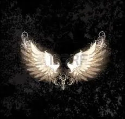 Dans laquelle de ces villes belges se situe la rue des Ailes ?