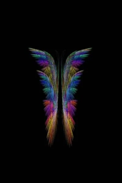 Quel est l'autre nom de l'aile delta ?