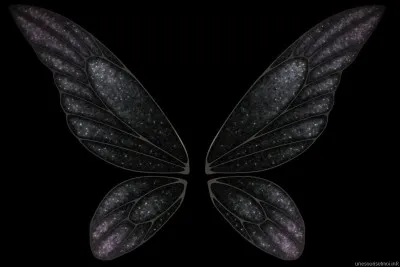 Comment surnomme-t-on l'aile dans le domaine cycliste ?