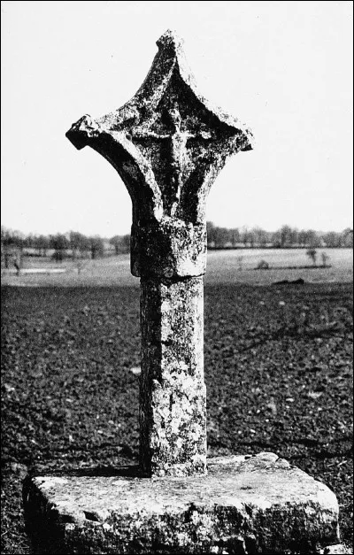 Quel nom occitan a donné « Sauveté » ?