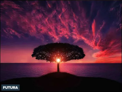 Comment envisages-tu le futur ?