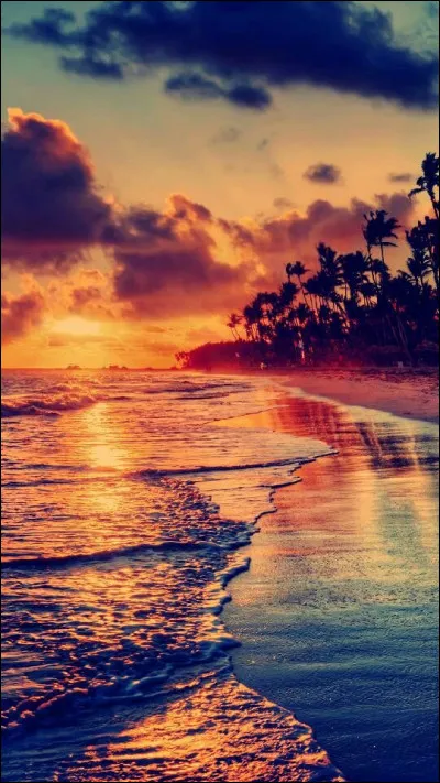 Combien de repas fais-tu par jour ?