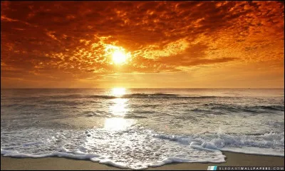 Que supportes-tu le mieux ?