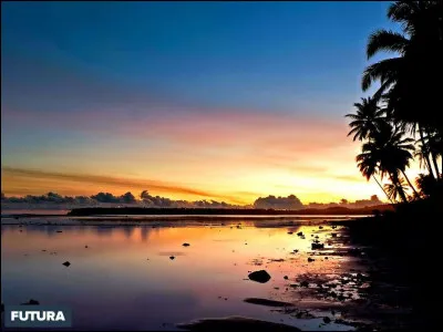 Lequel de ces animaux préfères-tu ?