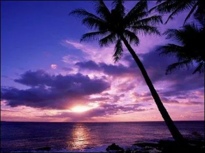 Lequel de ces pays irais-tu visiter ?