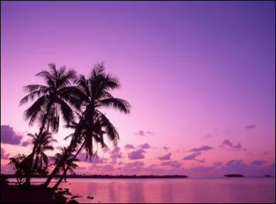 Lequel de ces prénoms préfères-tu ?