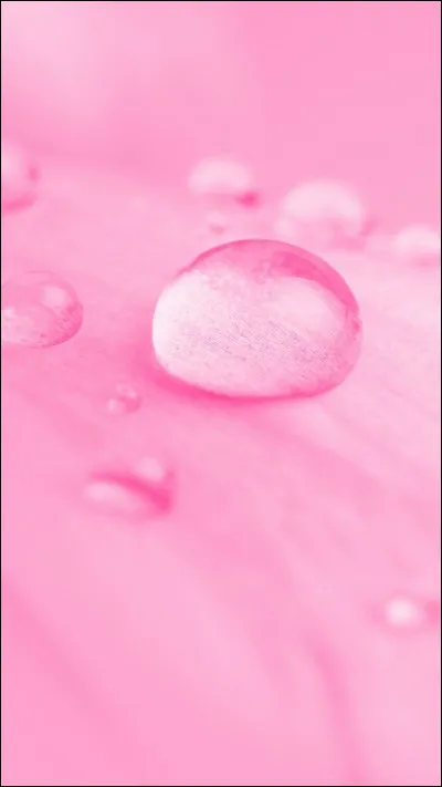 Laquelle de ces couleurs se traduit par "rose" en français ?