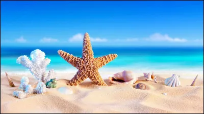 En été, lequel de ces mots représente le plus ce que nous ressentons ?