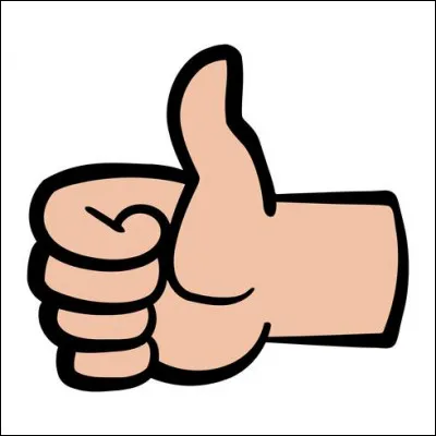 "Connecte, partage et aime" est le slogan du réseau social...