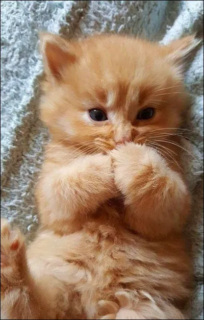 Terminez cette expression "être frappé au ... du bon sens" !