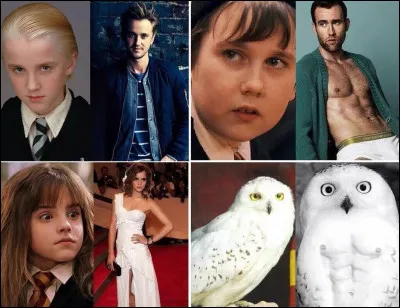 Quel est le prénom du père de Neville ?