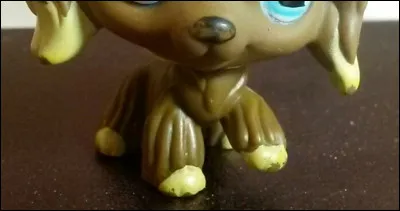 Quelle est la forme dans ses yeux ?