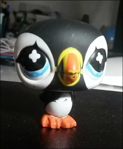 Et pour finir : quelle est l'espèce de ce Petshop ?