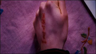 Que fait-elle écrire à Harry Potter, en 1995, avec son sang ?