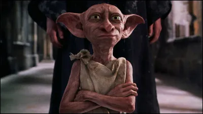 Pr&eacute;f&egrave;res-tu Dobby ou Kreatur ?