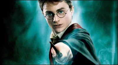 Quel est l'&acirc;ge d'Harry Potter selon toi ?