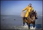 O peut-on observer les pcheurs de crevettes  cheval ?