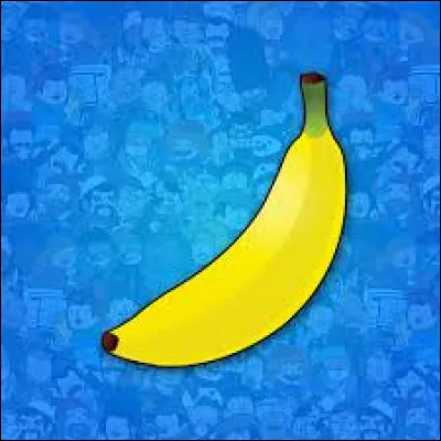 Quel est le nom de leur chaîne YouTube principale ?