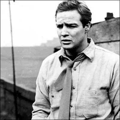 Dans quel film Marlon Brando joue-t-il ce héros ?