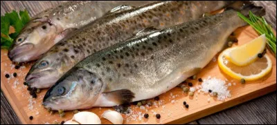 Comment dit-on "poisson" en allemand ?