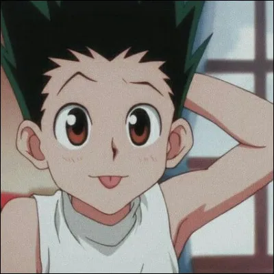 Quel est le type de nen de Gon ?