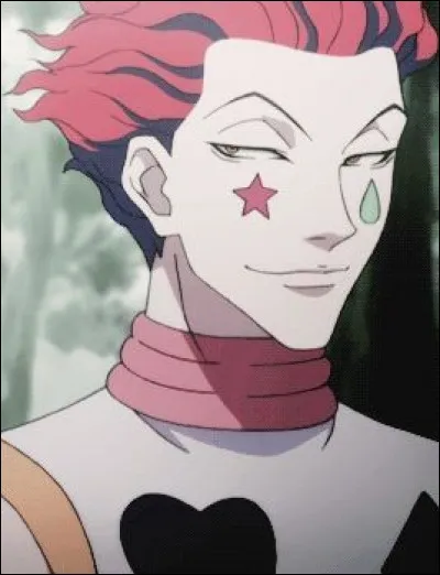 Quel age a Hisoka ? ... ans