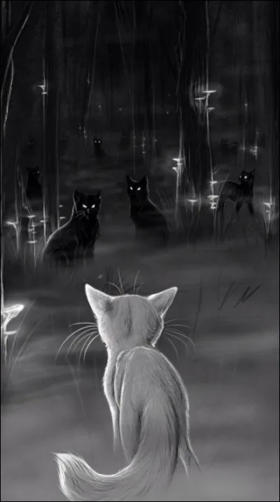 Ta couleur pr&eacute;f&eacute;r&eacute;e est...