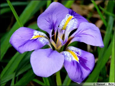 Trouvez la bonne réponse !