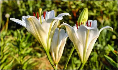 Pour Balzac, il était ...