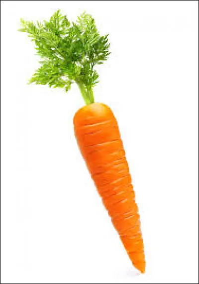 Comment s'appelle ce légume ?