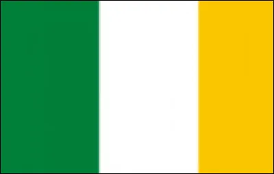 Cochez la réponse !