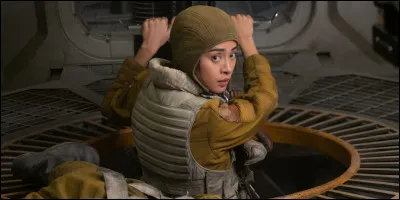 Quel est le nom de la sur de Rose Tico ?