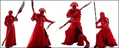 Comment s'appellent les gardes de Snoke ?