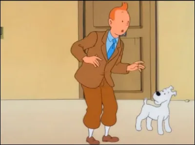 Quel objet Tintin a-t-il oublié chez le professeur  ?