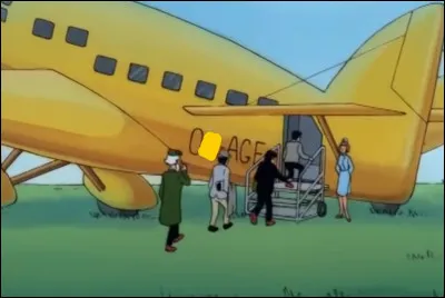 Quelle est l'immatriculation de l'avion  ?