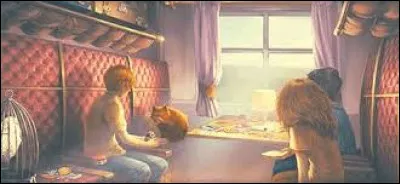 La jeune fille te sourit, s'installe à côté de toi et commence à dévisager Ron, puis Harry.
- « Harry Potter », murmure-t-elle.
Comment réagis-tu ?