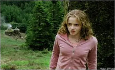 Harry et Ron commencent à parler quidditch et tu te tournes vers la nouvelle arrivante pour discuter avec elle. Que lui dis-tu en premier ?