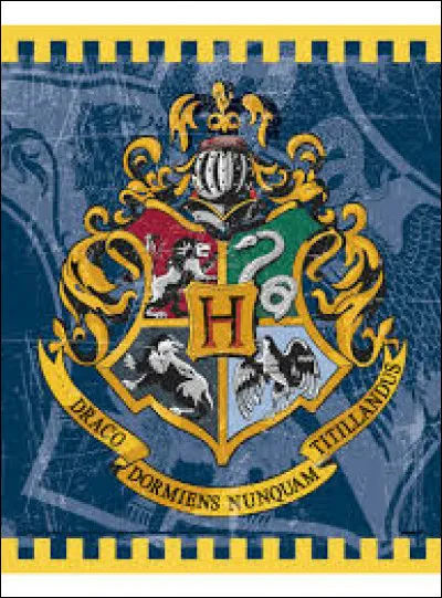 Maintenant, fais semblant de t'appeller Cécile Evans-Rogue... C'est bon ?
Hermione commence à parler maisons de Poudlard. 
Emma répond aussitôt qu'elle veut aller à Gryffondor. 
Marella dit qu'elle aimerait aller à Serdaigle : 
- "Tout homme s'enrichit quand abonde l'esprit", dit-elle.
Hermione te demande dans quelle maison tu voudrais aller...