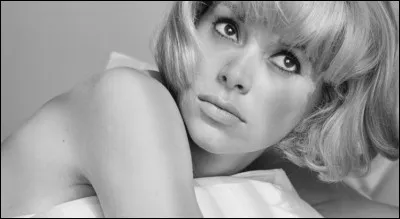 L'eugaster est le nom d'un insecte : lequel ?