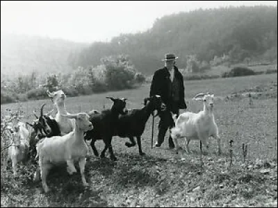 Grand comme "Grand'Terre" : dans quel film Jean Gabin règne-t-il en patriarche sur "La Grand'Terre" ?