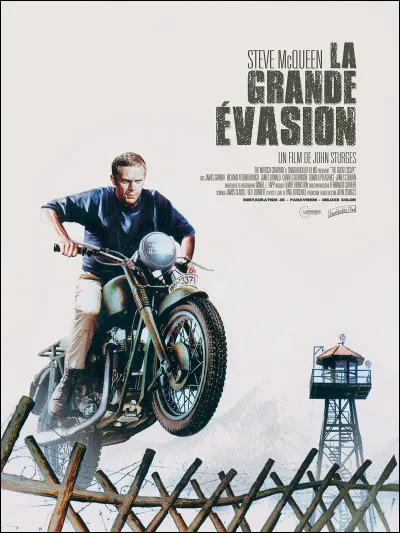Grand comme "La Grande Évasion" : dans ce film de John Sturges sorti en 1963 , il s'agit de s'évader du camp "Stalag Luft III", dans quel pays sont les prisonniers ?