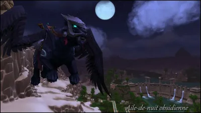 Qu'ont de particulier les Ailes de Nuit ?