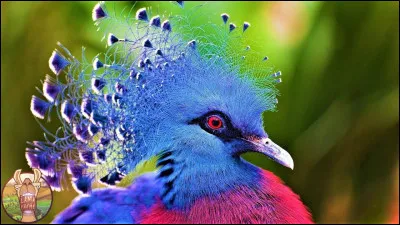 Ce poème s'appelle "La Nichée sous le Portail", retrouvez son auteur !