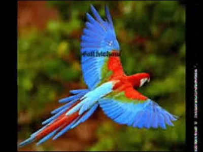 Pièce de théâtre en six actes, écrite en 1908 par Maurice Maeterlinck !