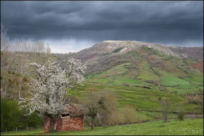 Va comme "Vallon" : qui est l'auteur du poème "Le Vallon" ?