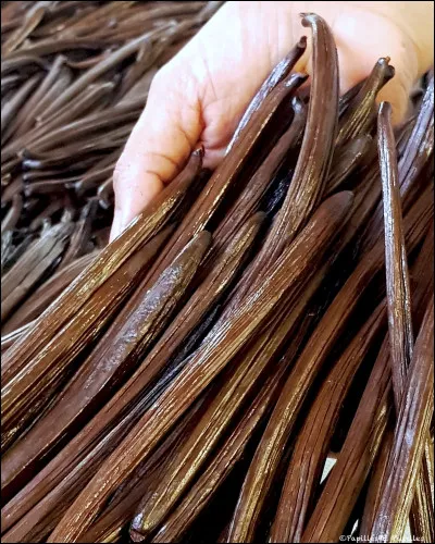 - Dans un premier bol ajoute l'extrait de vanille.
- Dans le second, ajoute le chocolat fondu.

De quel pays la vanille est-elle originaire ?