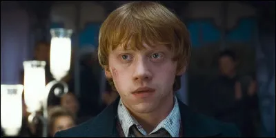 Qui est le meilleur ami de Harry Potter ?