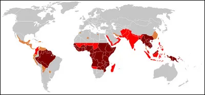 Par quelle piqûre ou morsure le paludisme est-il transmis ?